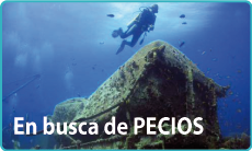 destacado pecios